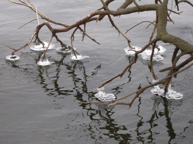 Close up of an icicle - free image