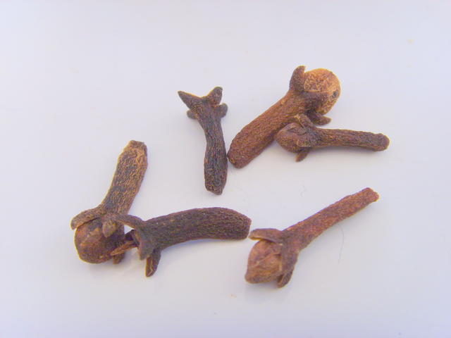 Clove - free image