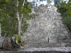 Coba Mayan Pyramid Ruins