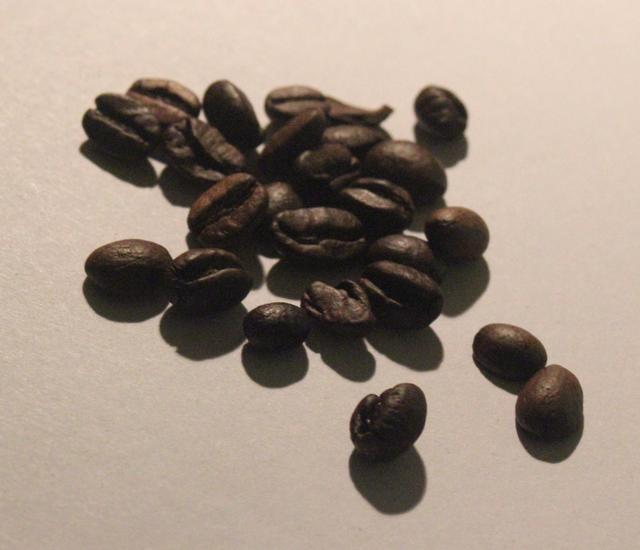 Coffee seeds - free image