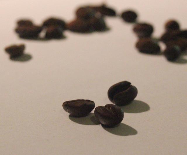 Coffee seeds - free image