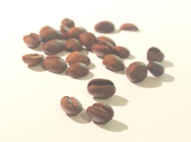 coffee seeds - free image