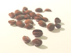 coffee seeds