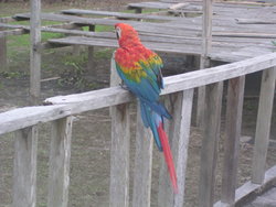 Colourful Macau