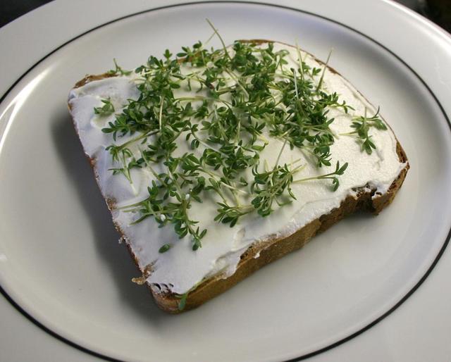 Cress bread - free image