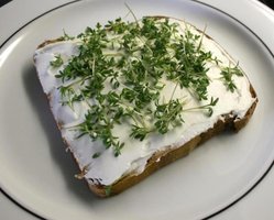 Cress bread