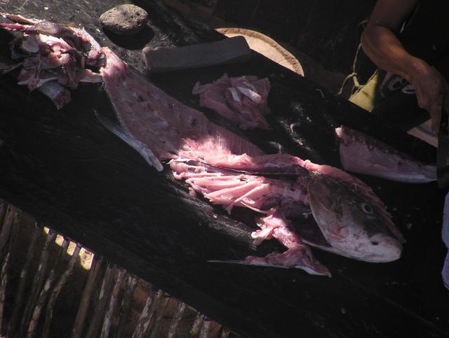 cutting fish - free image