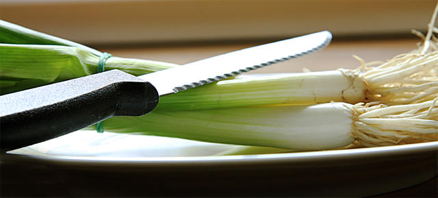 cutting spring onion - free image