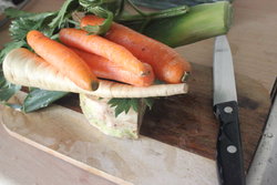 cuttings vegetables