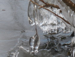 damage by icicles