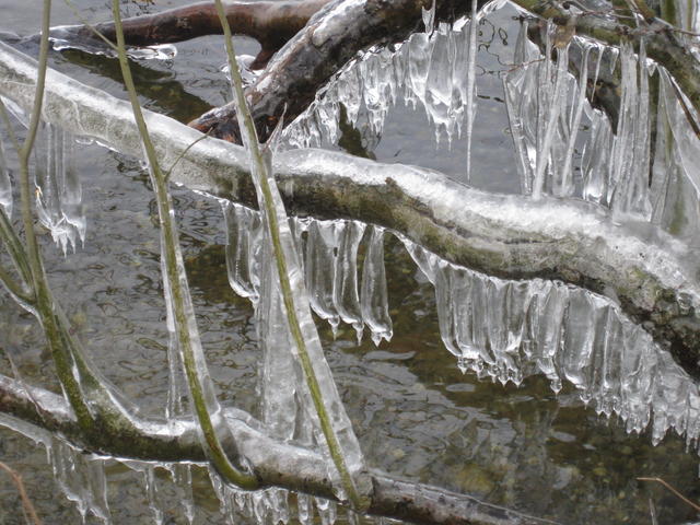 Dazzling Icicles - free image