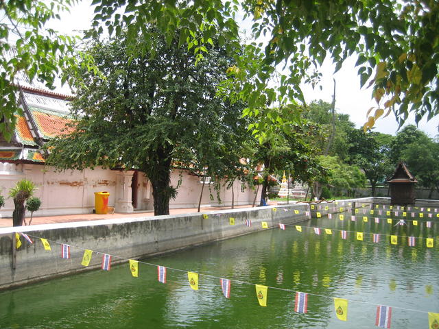 decorated pond - free image