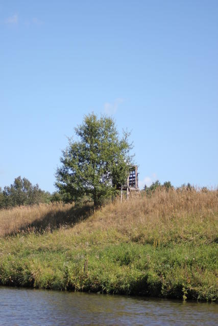 deerstand next to river - free image