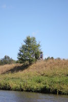 deerstand next to river