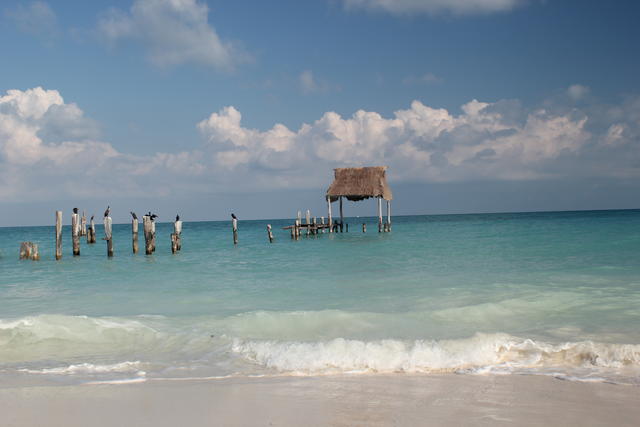 dilapidated hut - free image