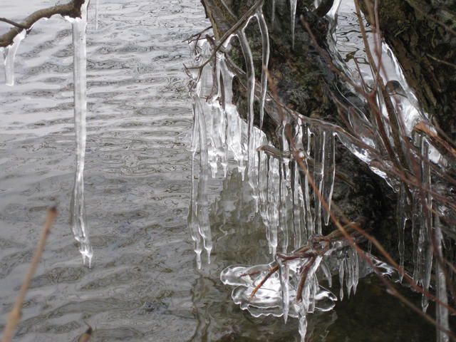 Drop of Ice - free image