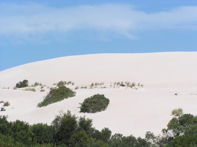 Dunes - free image