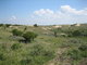 Dunes in the netherlands