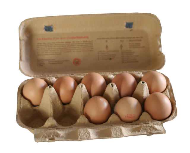 Eggs - free image