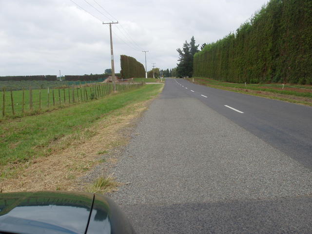 empty road - free image