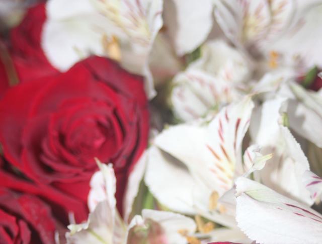 enchanting bouquet - free image