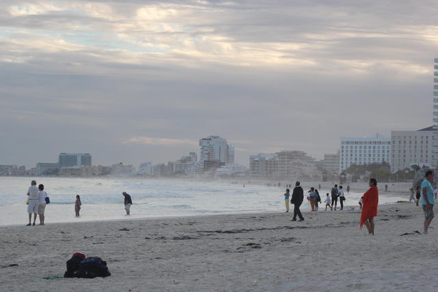 enjoying the beauty of the sea - free image