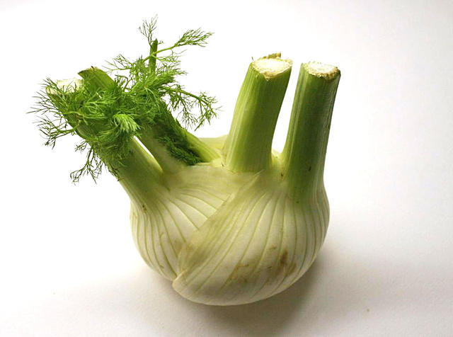 Fennel - free image