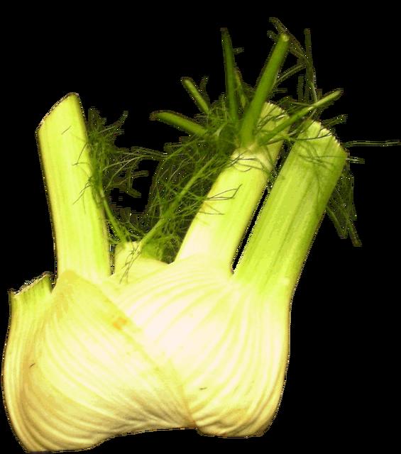 Fennel - free image