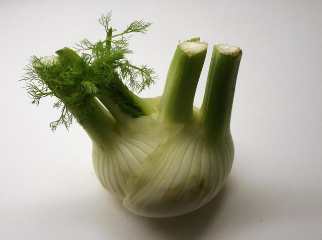 Fennel - free image