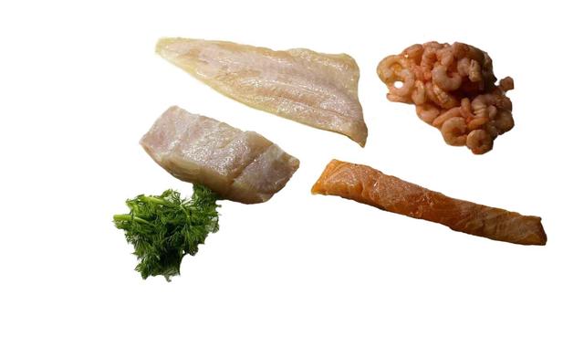 fish meat - free image