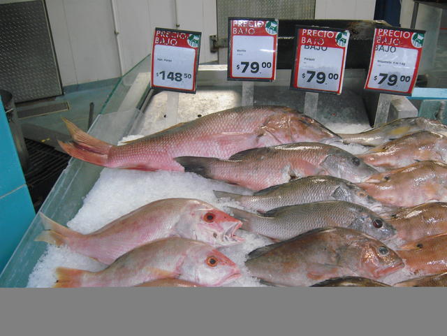 fish section - free image