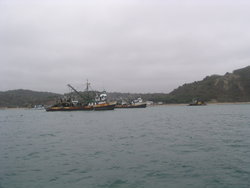 fishing boats