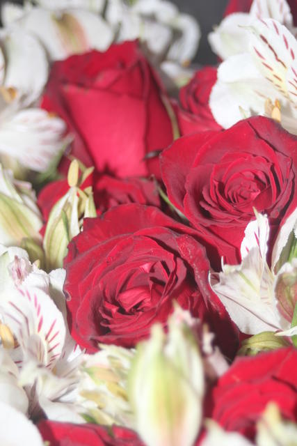 floral bouquet - free image