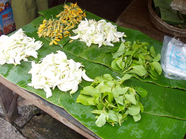 Flowers and herbs - free image