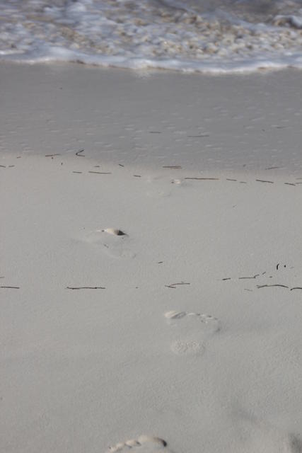foot marks on beach - free image