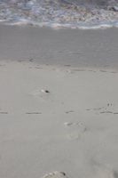 foot marks on beach