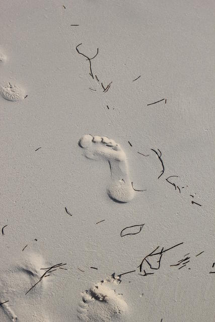 foot step on wet sand - free image