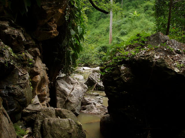 forest water cave - free image