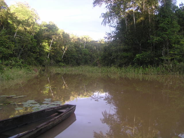 free boat standing in water - free image