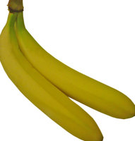 Fresh bananas