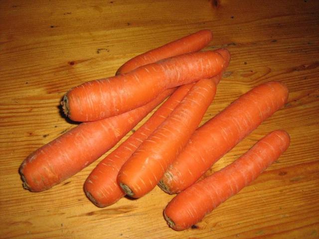 Fresh carrots - free image