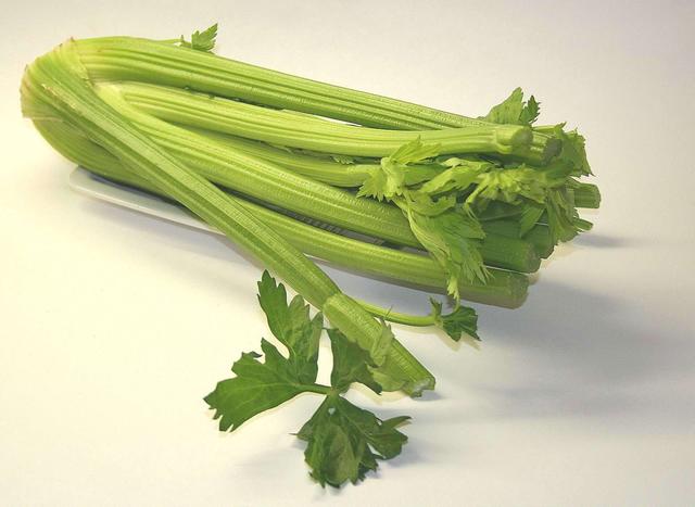 fresh celery - free image