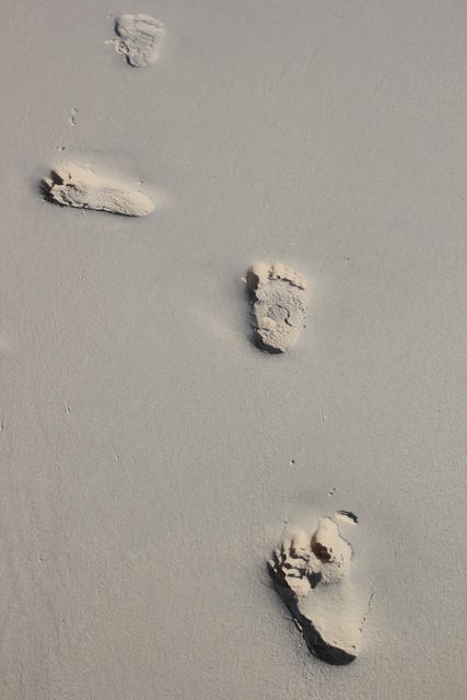 fresh footsteps - free image