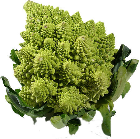 fresh green Romanesco - free image