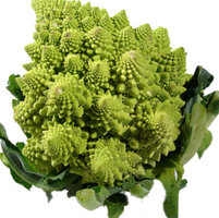 fresh green Romanesco