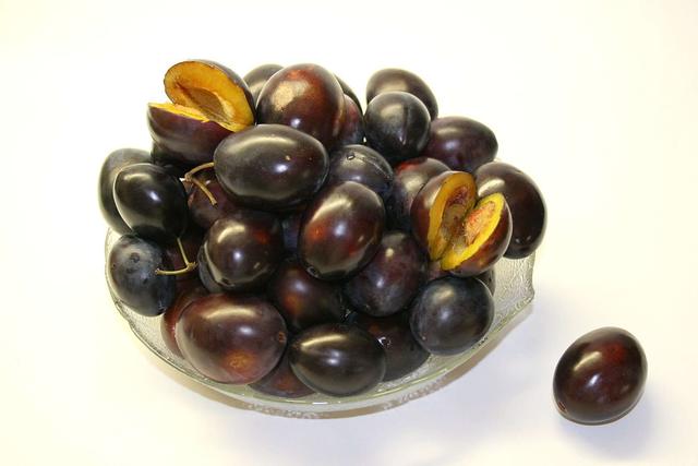 Fresh Juicy Plums - free image