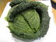 Fresh Savoy cabbage