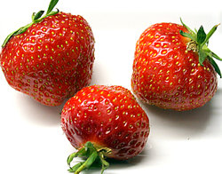 fresh strawberry