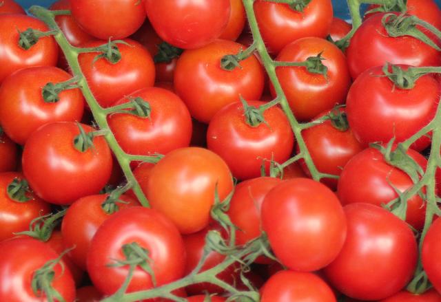 Fresh Tomato - free image