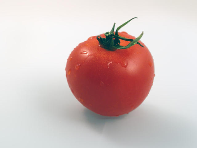 fresh tomato - free image